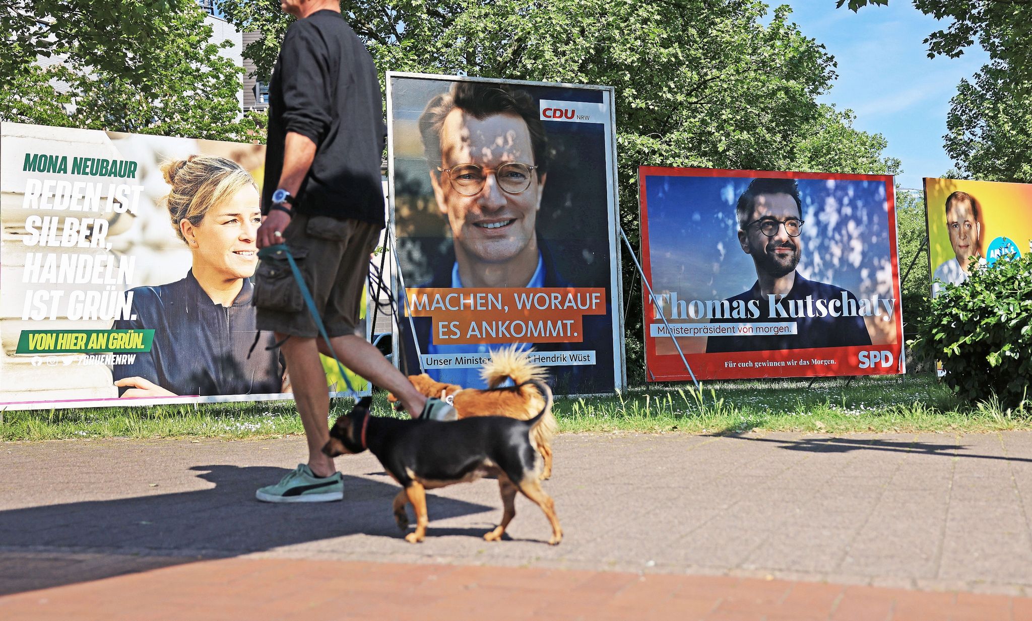 Wahlplakate von Grünen, CDU, SPD und FDP (l-r) stehen auf einer Wiese in Düsseldorf (© Oliver Berg/dpa)