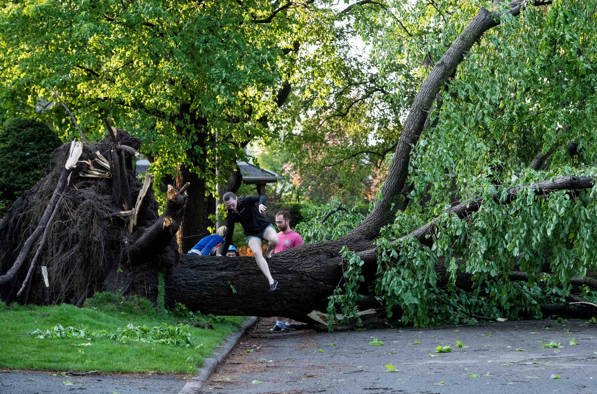 Ein Anwohner klettert über einen Baum, der durch einen schweren Sturm umgestürzt und entwurzelt worden ist. (© Justin Tang/The Canadian Press/AP/dpa)