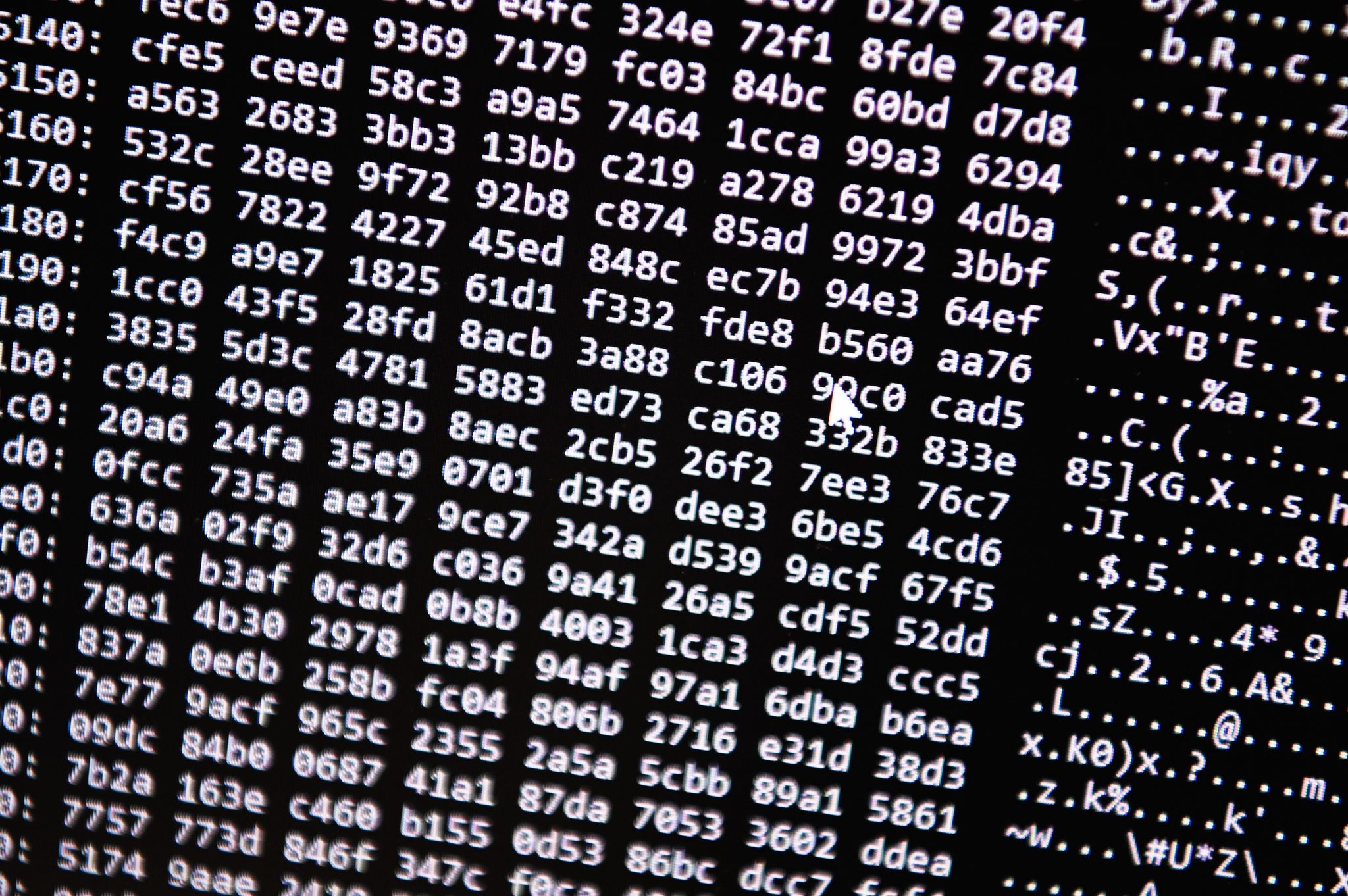 Ein Zahlencode läuft in der Zentralstelle Cybercrime Bayern (ZCB) über einen Bildschirm. (© Nicolas Armer/dpa)