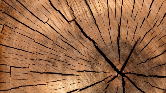 Derzeit ein knappes Gut: Holz (© Pixabay)