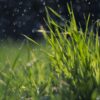 Nasses und kühles Finale im Mai – Wetterbesserung zum Monatswechsel möglich