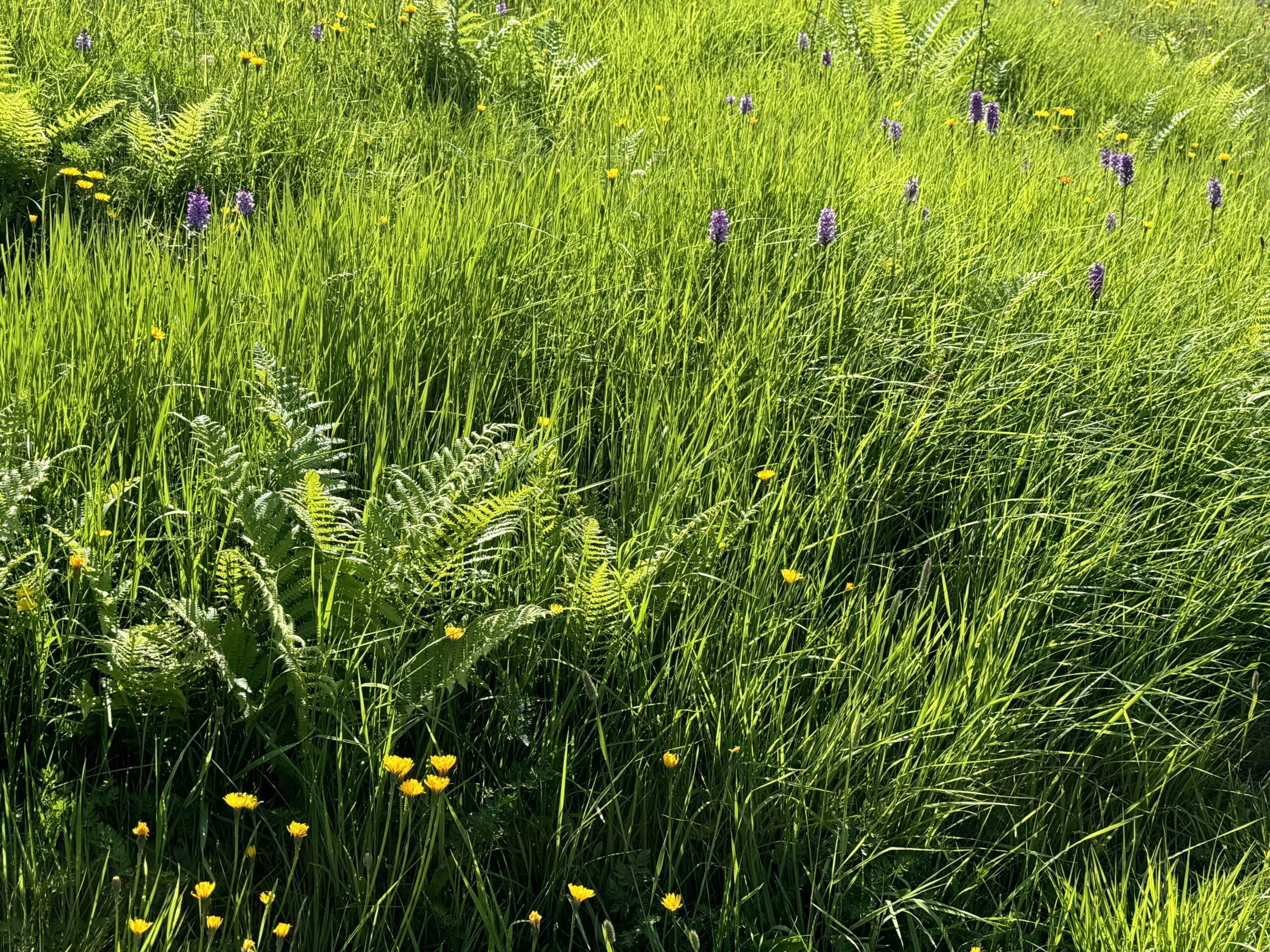 Hintergrund