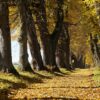 Allgäu: Goldender Oktober hält im November an