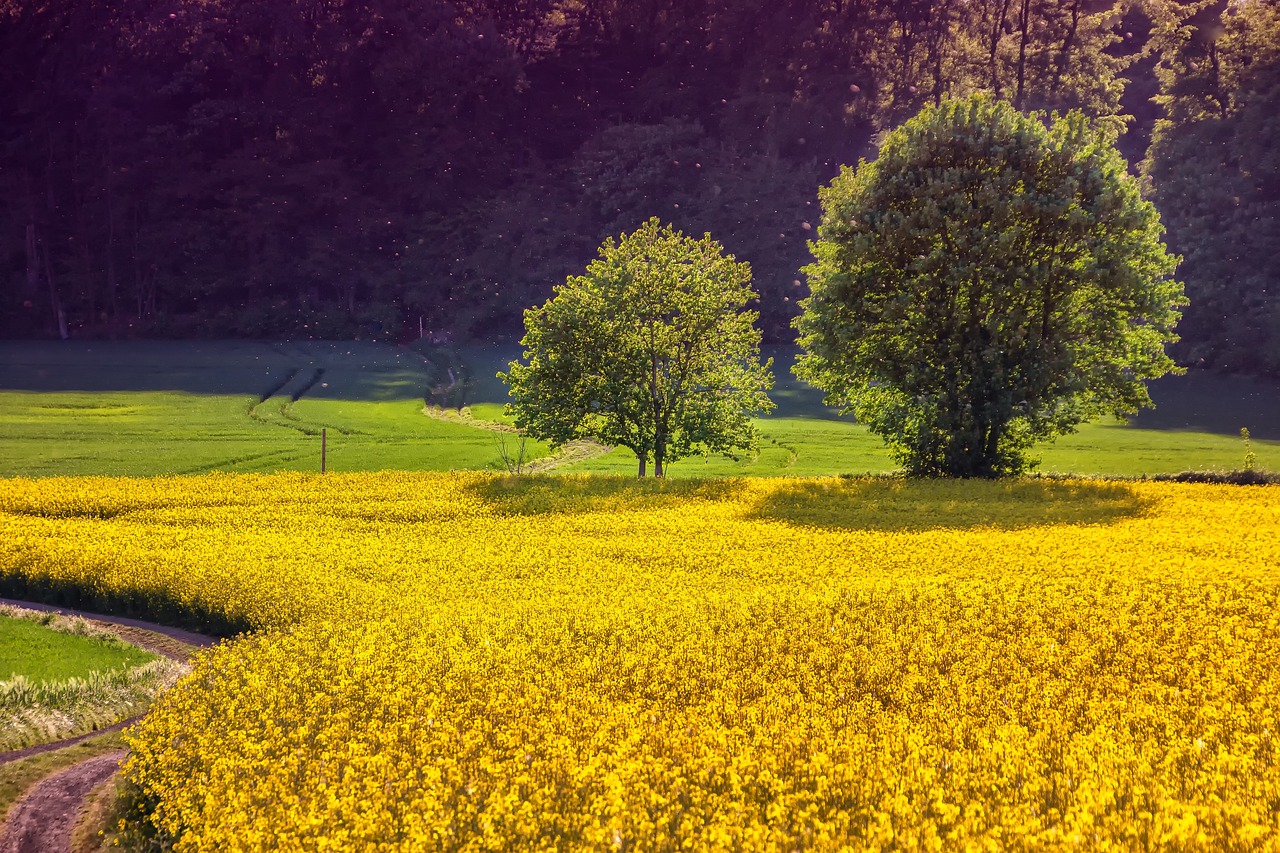 Hintergrund