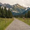 Startschuss für die Allianz Kulturlandschaft im Oberallgäu