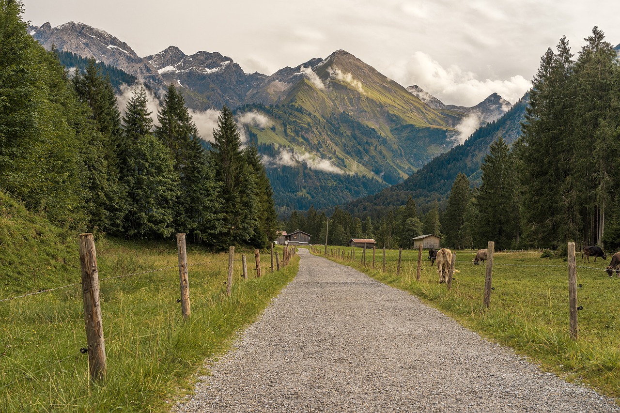Hintergrund