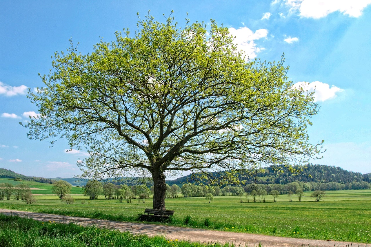 Hintergrund