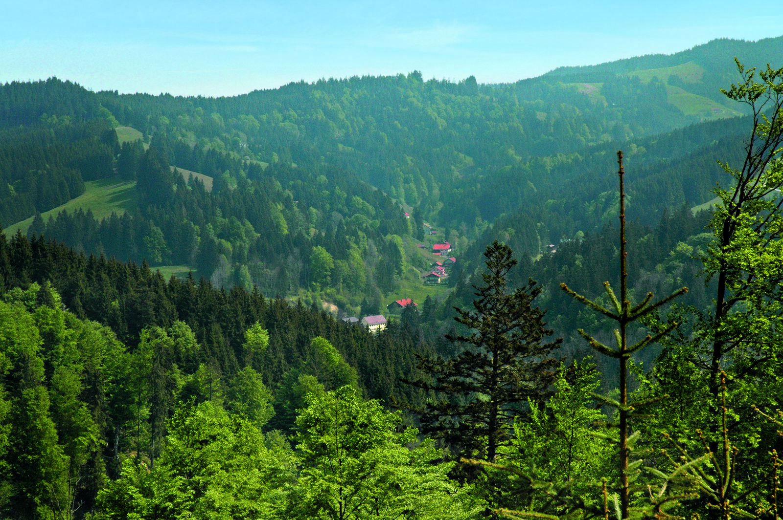 Hintergrund