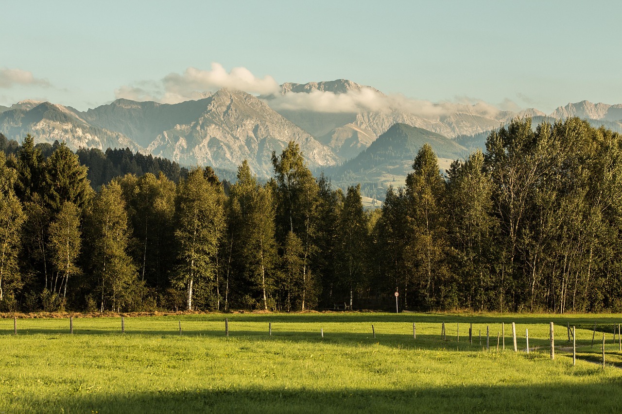 Hintergrund