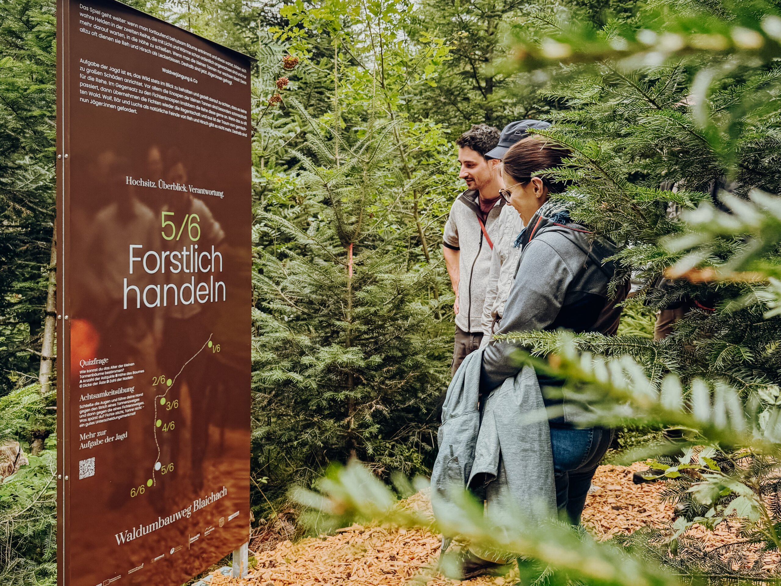 Hintergrund
