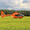 21-Jähriger verletzt sich mit Motorsäge bei Waldarbeiten in Nesselwang
