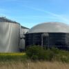 Endlich grünes Licht für das Biomassepaket auch im Allgäu und Bodenseeraum