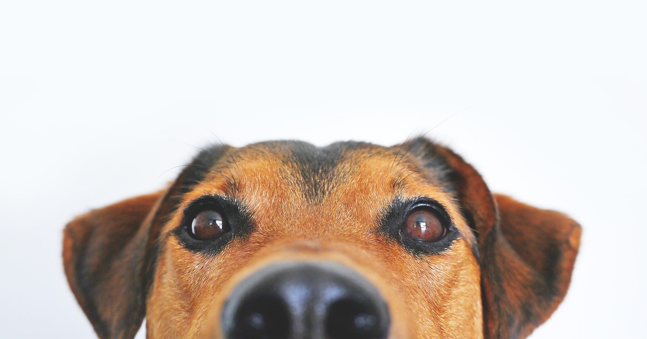 Hintergrund