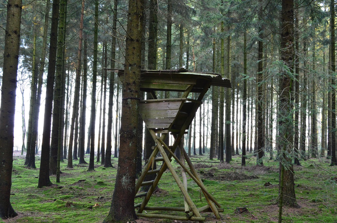 Hintergrund