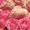 Wir beschenken deine Mutter! Sag uns, warum SIE die Beste ist!