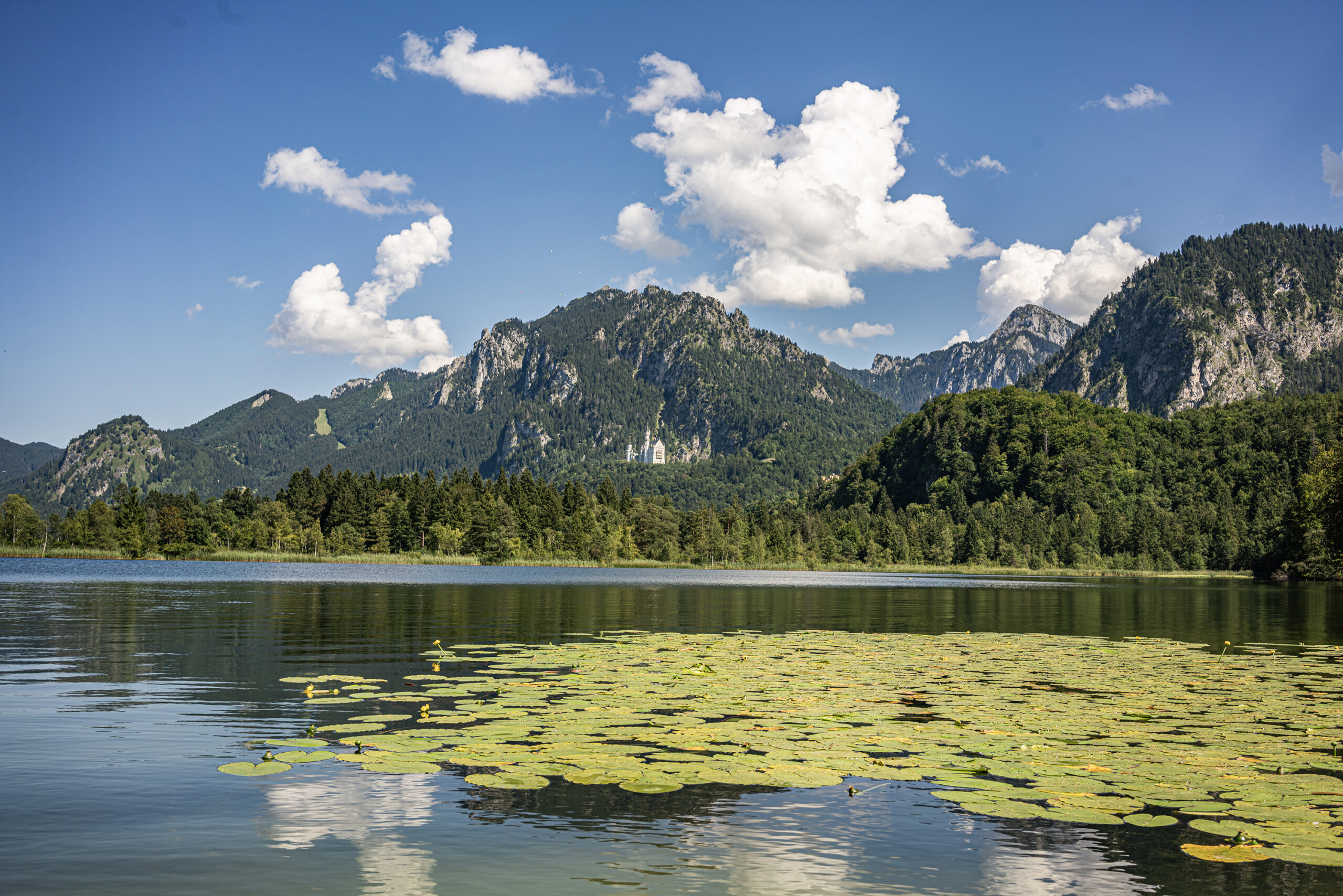 Hintergrund