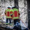 Waldbrandgefahr in Bayern spitzt sich zu – Allgäu und Nürnberg besonders betroffen