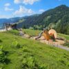 Neue „Erlebniswelt Raufußhuhn“ am Riedberger Horn eröffnet