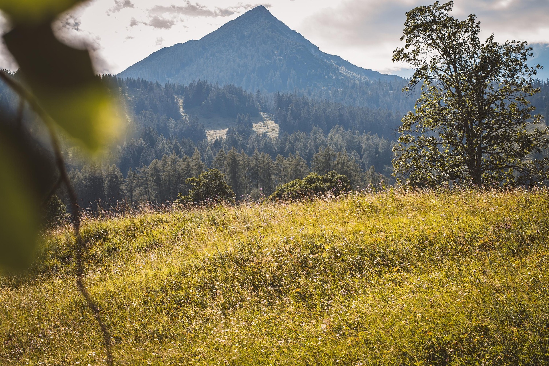 Hintergrund