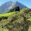 Wetterumschwung im Allgäu: Gewitter bringen Abkühlung – Hitzewelle geht zu Ende