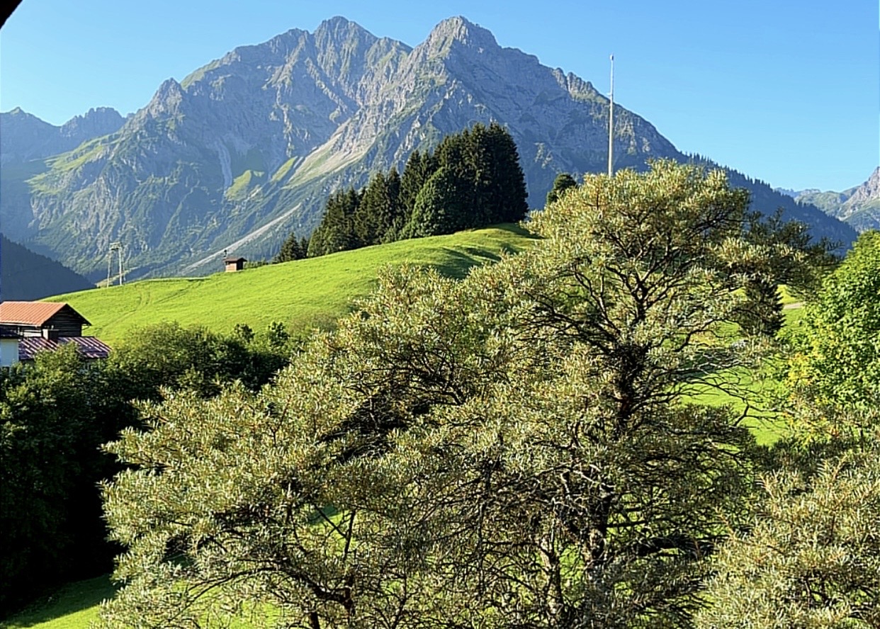 Hintergrund