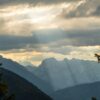 Oberallgäu wird wieder aus der Luft auf Waldbrände kontrolliert