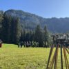 Oberallgäuer Feuerwehren trainieren für Wald- und Vegetationsbrände