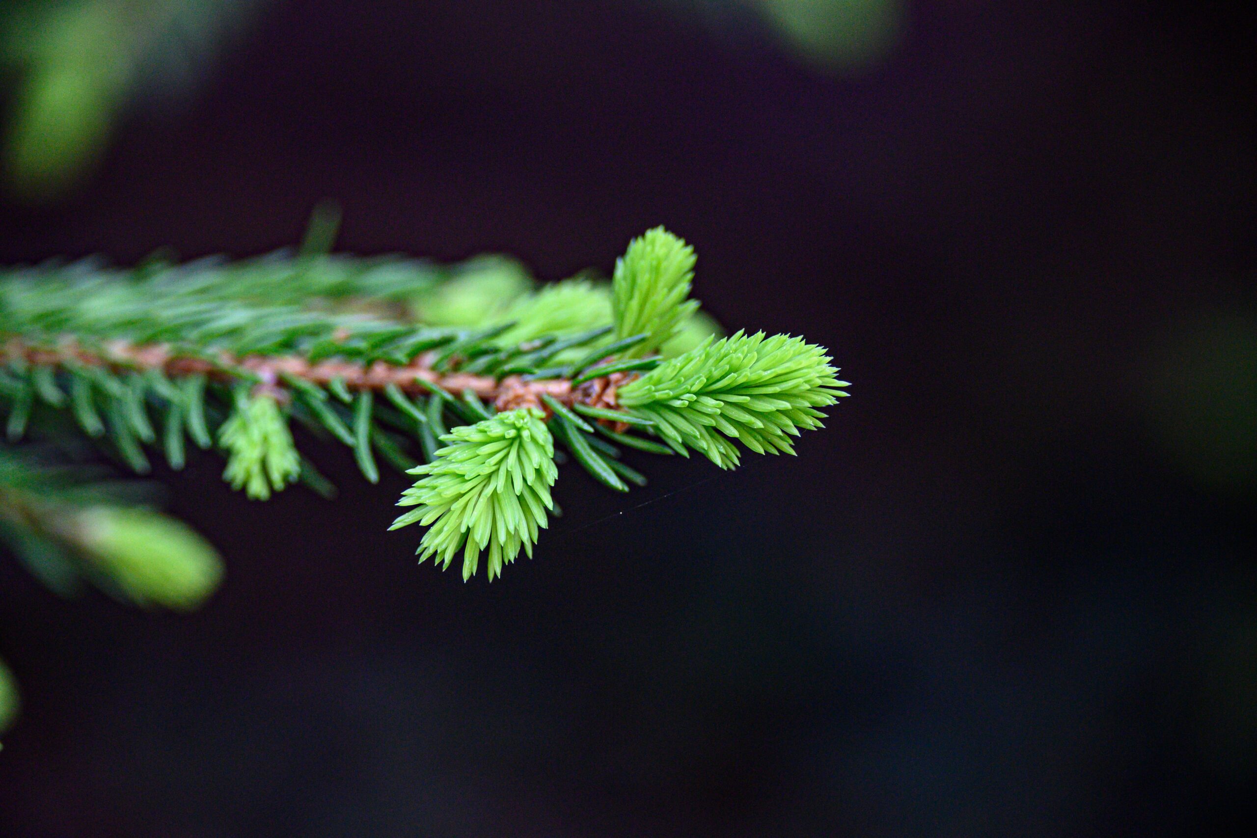 Hintergrund