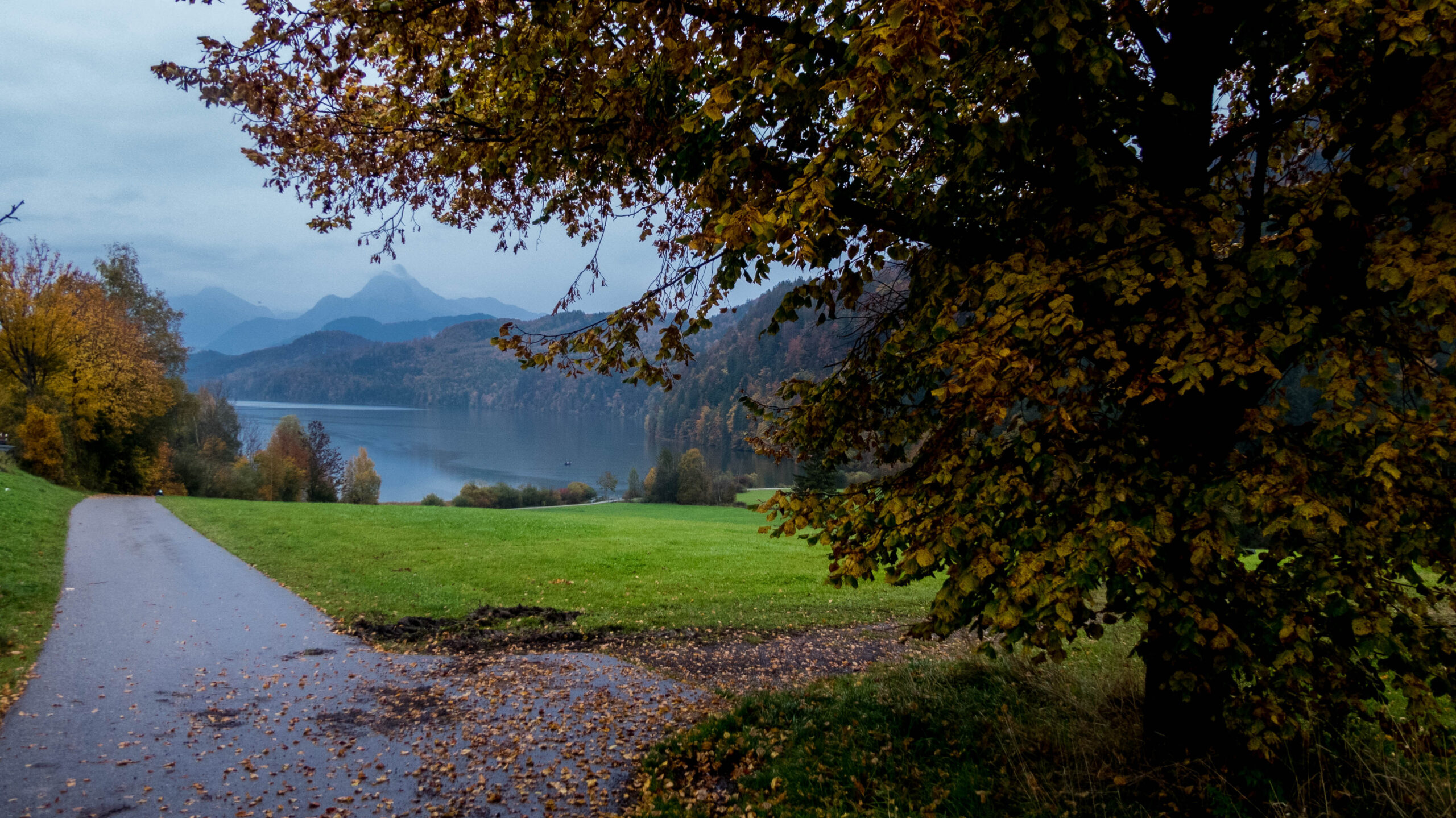 Hintergrund
